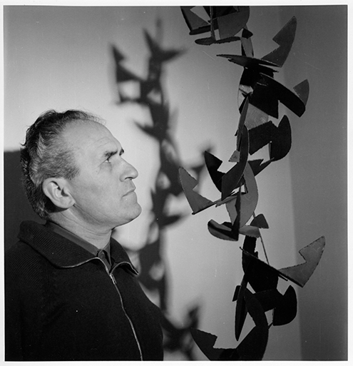 ANGELO BOZZOLA